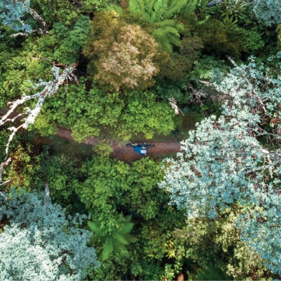 Norman Mountain Biking Sustainable Values