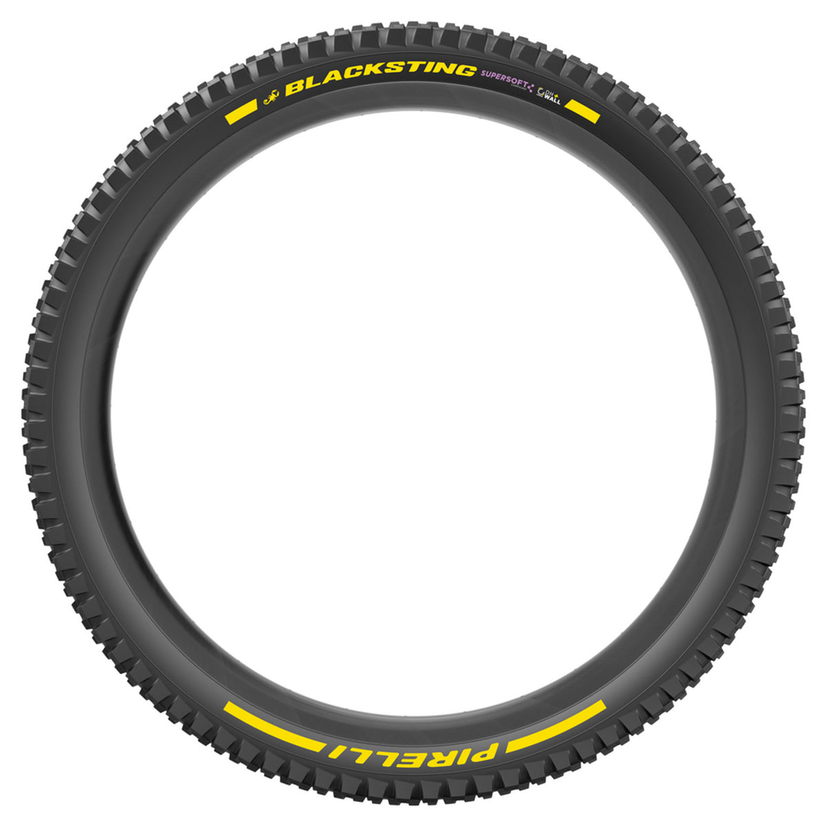 Pirelli Blacksting Team Edition Tyre - 29 Inch - 2.4 Inch - Yes - 2 ply 60 TPI & Bead to Bead - DH+WALL - Supersoft - Heavy Duty Protection - Folding - Black - Image 4