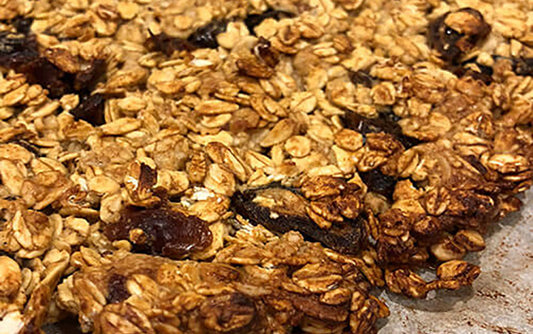 Ride Food: Date and Peanut Butter Bars
