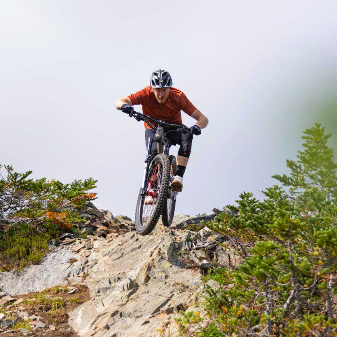 TLD MTB Direct The MTB Experts MTB Direct Australia