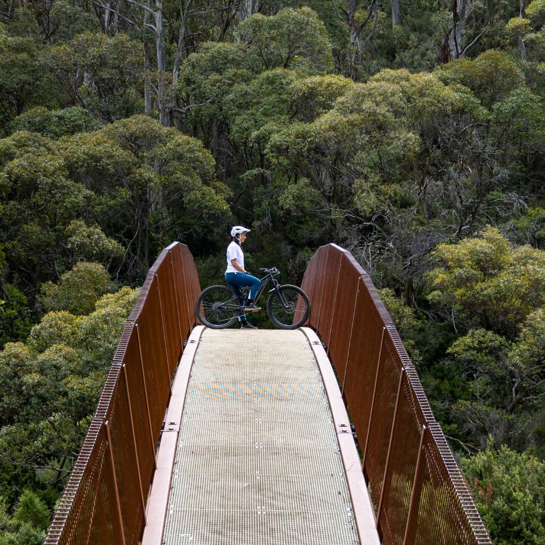 Norman - Women's Pants - MTB Direct Australia