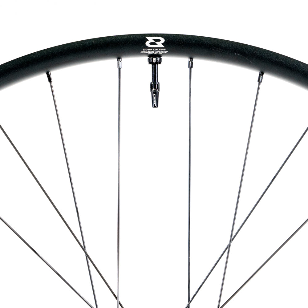 Dert Alloy Rear Wheel - Rear - 29 Inch - 12x148mm Boost - Aluminium - 30mm - 6 Bolt - Shimano Microspline