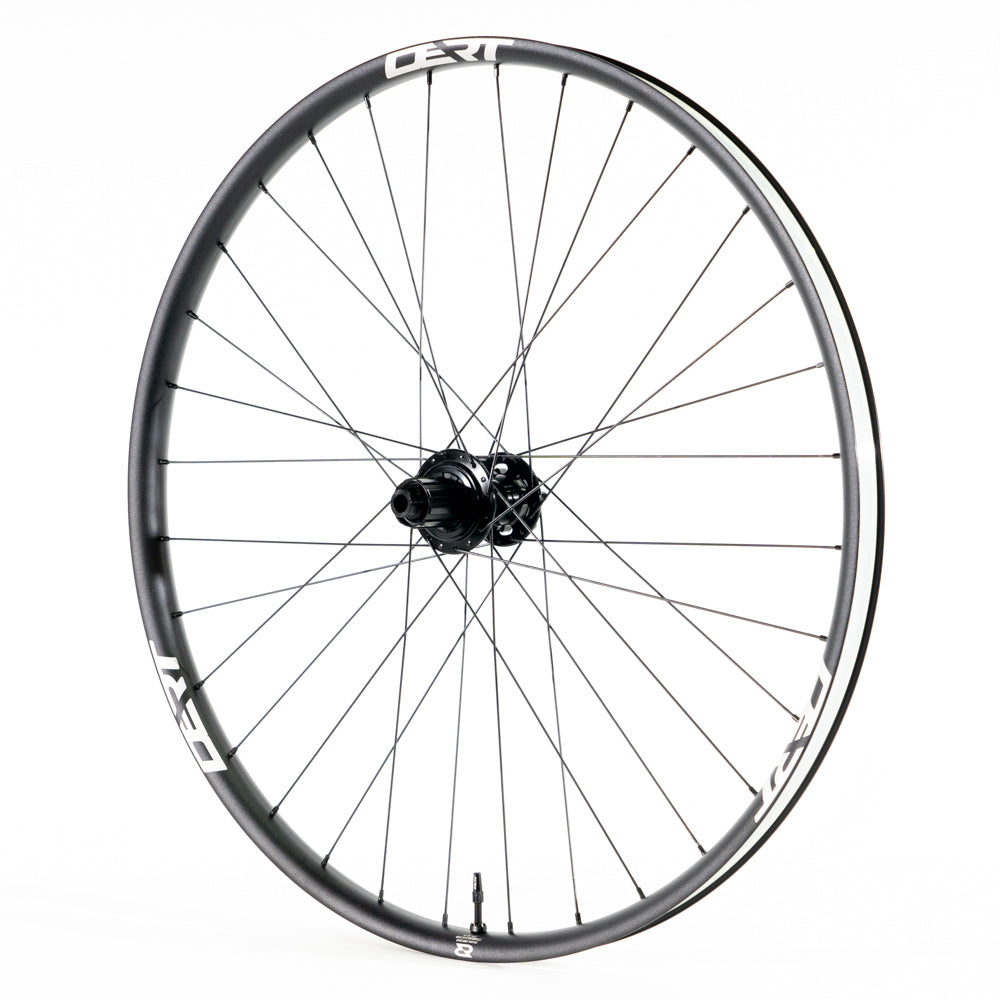 Dert Alloy Rear Wheel - 6 Bolt - 12x148mm Boost - Shimano HG Spline - 29 Inch
