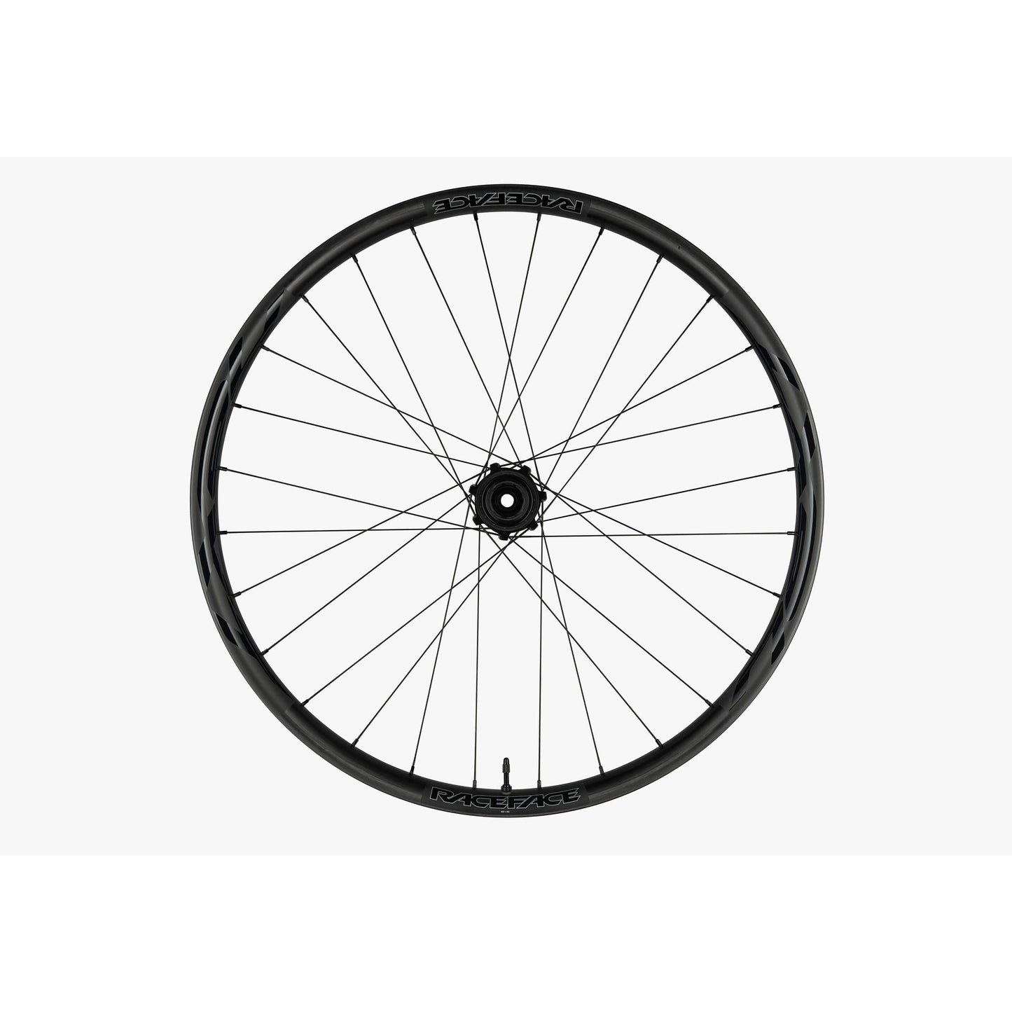 Race Face Next R 31 Rear Wheel - 29 Inch - 6 Bolt - XD Driver - 12x148mm Boost
