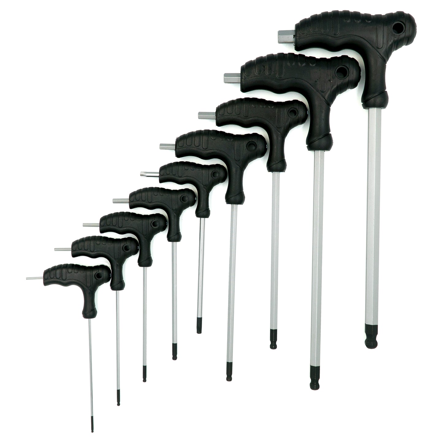 Cleanskin T Handle Allen Key Set with Tray