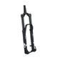 Formula Selva C Coil Sprung Fork - 29 Inch - 1 1/8th - 1.5 Inch Tapered - 15x110mm Boost - 160mm Travel - 43mm - Formula CTS - Matte Black
