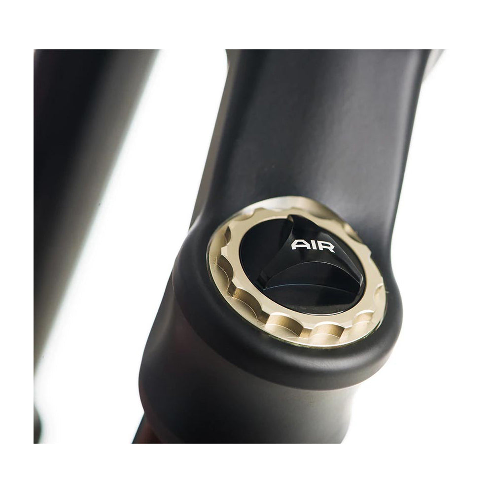Formula Selva S Air Sprung Fork - 29 Inch - 1 1/8th - 1.5 Inch Tapered - 15x110mm Boost - 160mm Travel - 51mm - Formula CTS - Matte Black