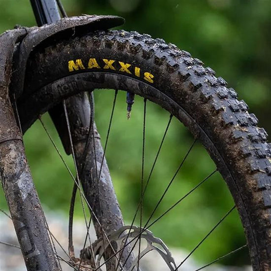 Close-up of a bicycle wheel with Maxxis tire on a blurred natural background
