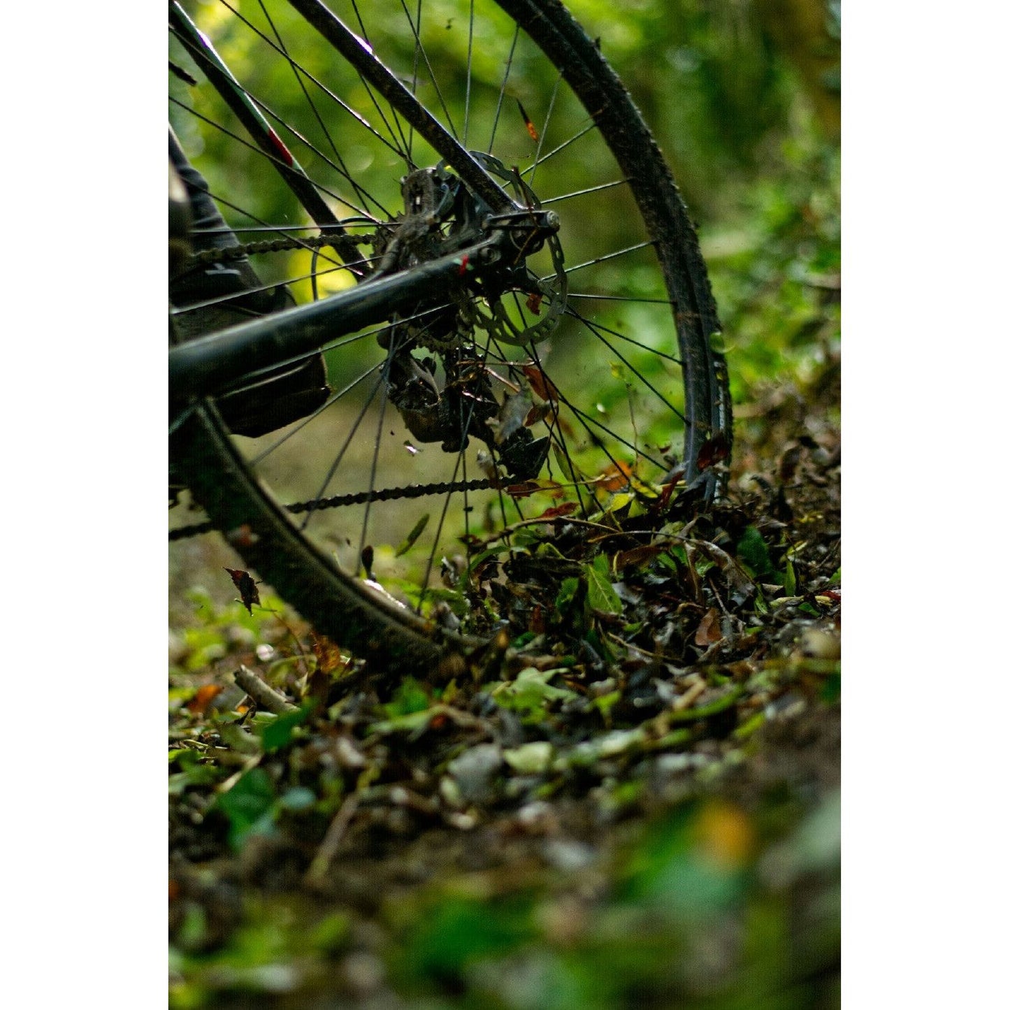 Rimpact Cyclocross Tyre Inserts - 700c/29 Inch - Set