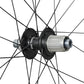 Shimano WH-RX880 Rear Wheel - Rear - 700c - 12x142mm - Carbon - 25mm - Centrelock - Shimano HG Splined