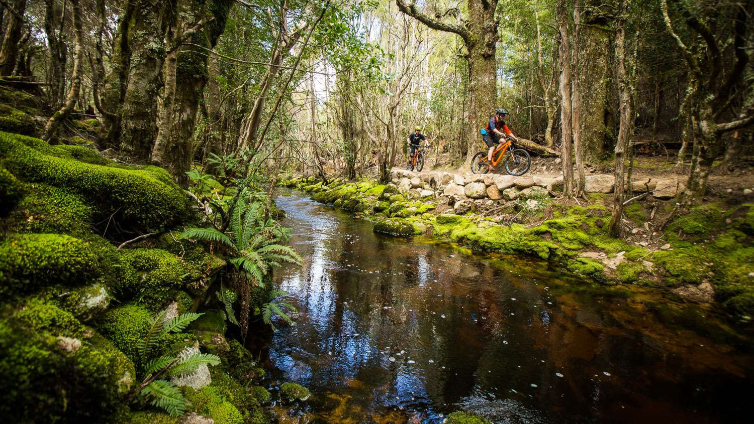 Two people riding bicycles along a forest path with a stream in the foreground