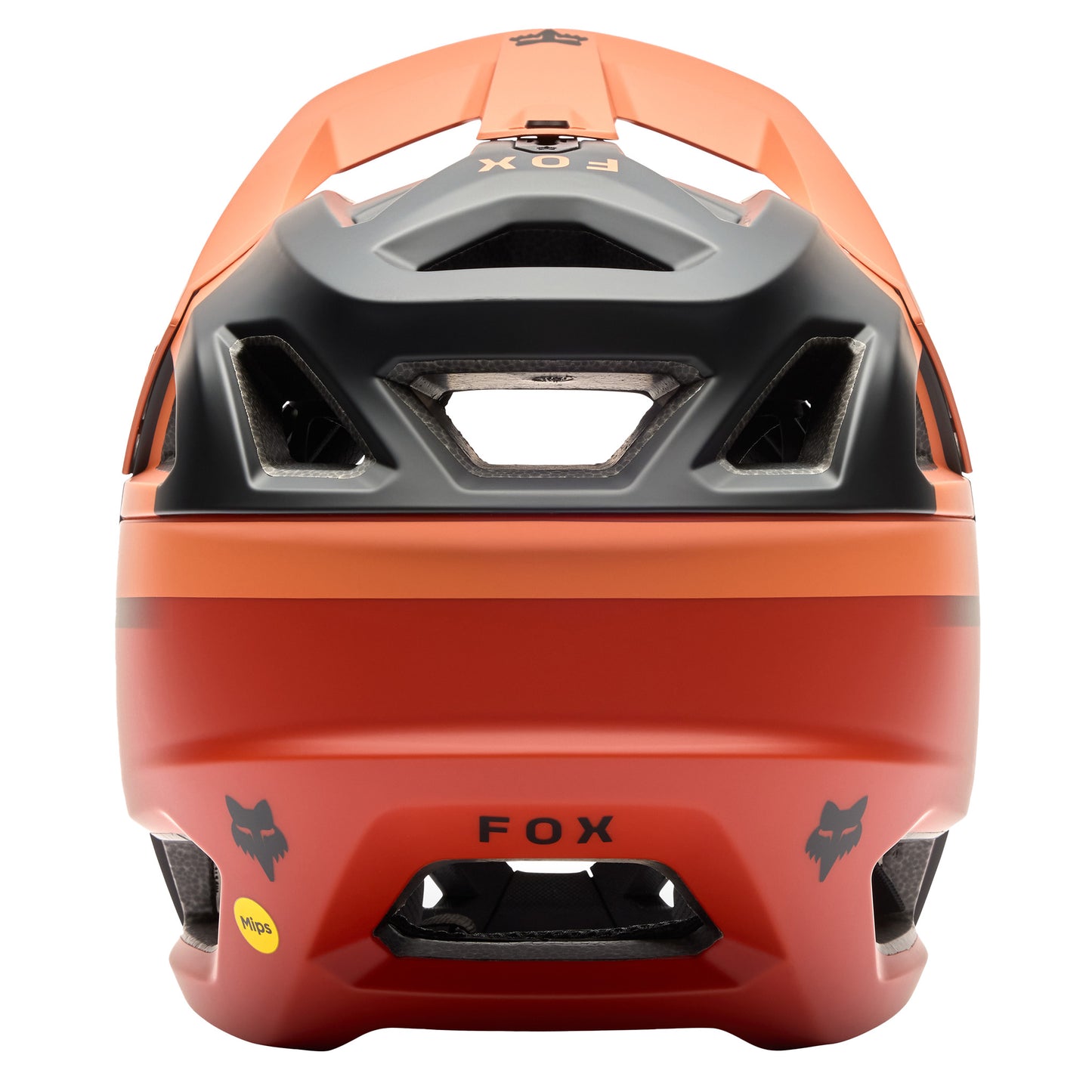 FOX Proframe Rizer AS Helmet - L - Coral - Image 4