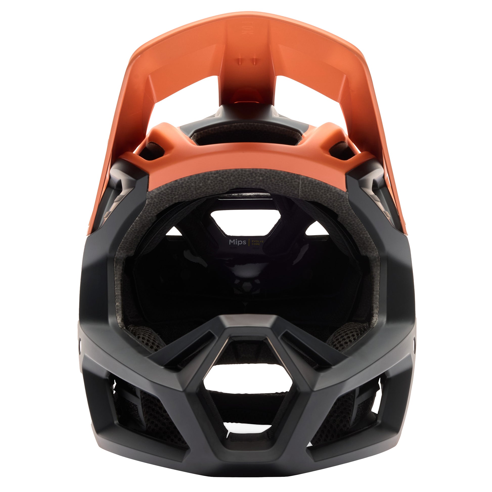 fox proframe fullface helm FOX Proframe Rizer AS Helmet