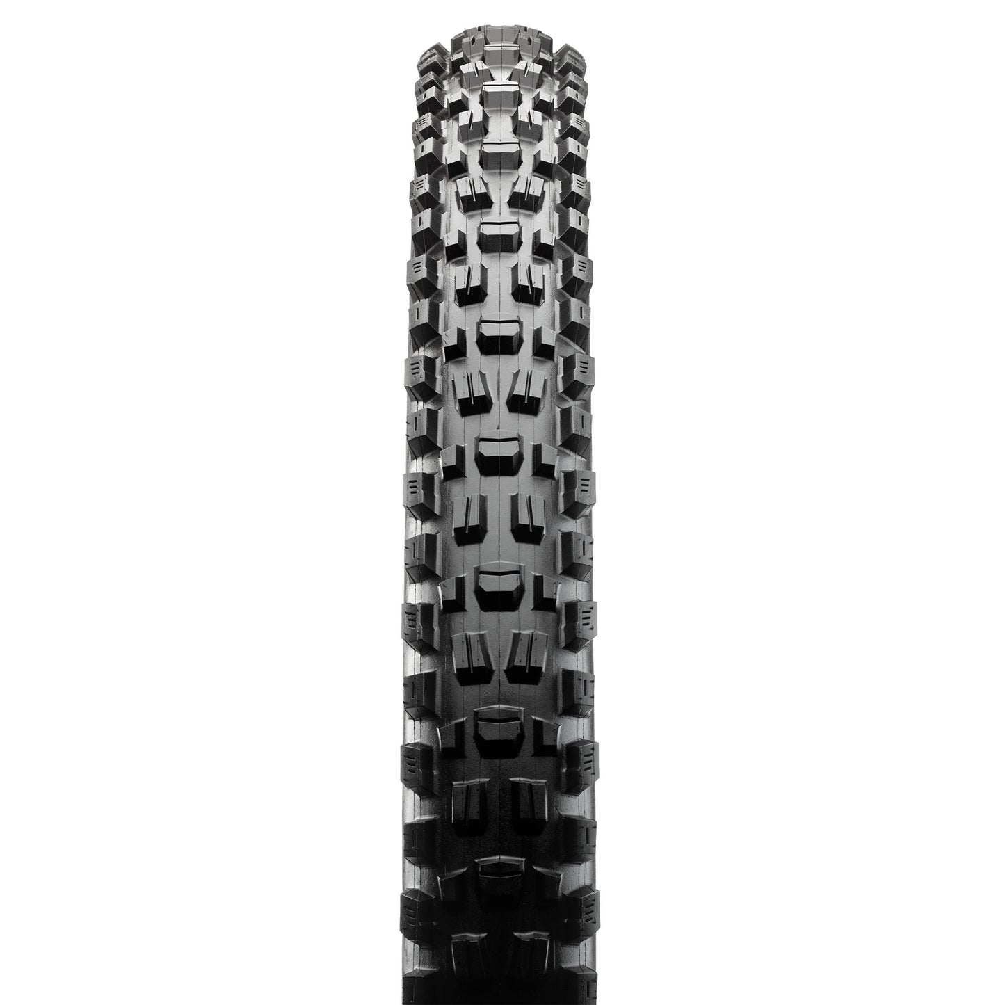 Maxxis Assegai Tyre - 27.5 Inch - 2.5 Inch - Yes - MaxxTerra - EXO+ TR - Soft - Heavy Duty Protection - Folding - Black - Image 2