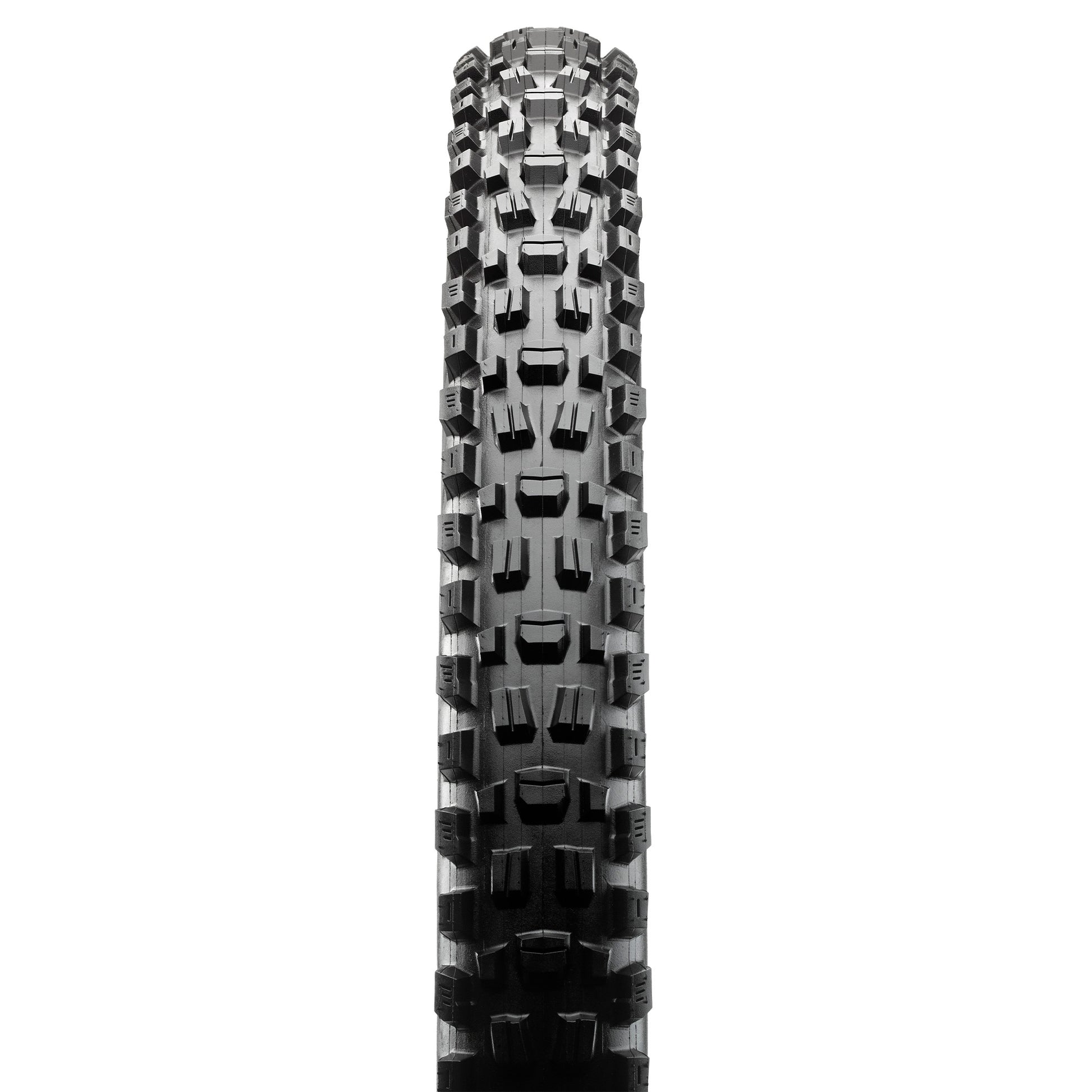 Maxxis Assegai Tyre - 27.5 Inch - 2.6 Inch - Yes - MaxxTerra - EXO TR - Soft - Medium Duty Protection - Folding - Black - Image 2