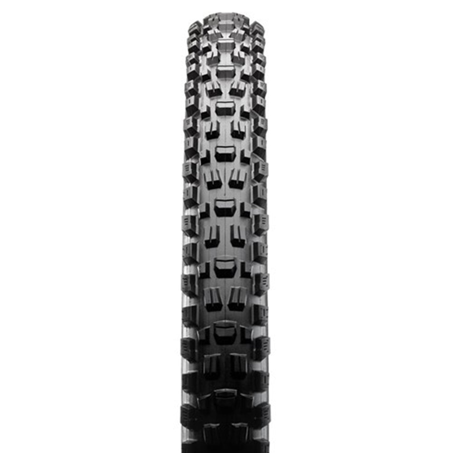 Maxxis Assegai Tyre - 29 Inch - 2.5 Inch - Yes - Dual Compound - WT Dual Ply 60x2TPI E-25 - Medium - Heavy Duty Protection - Wire - Black - Image 2