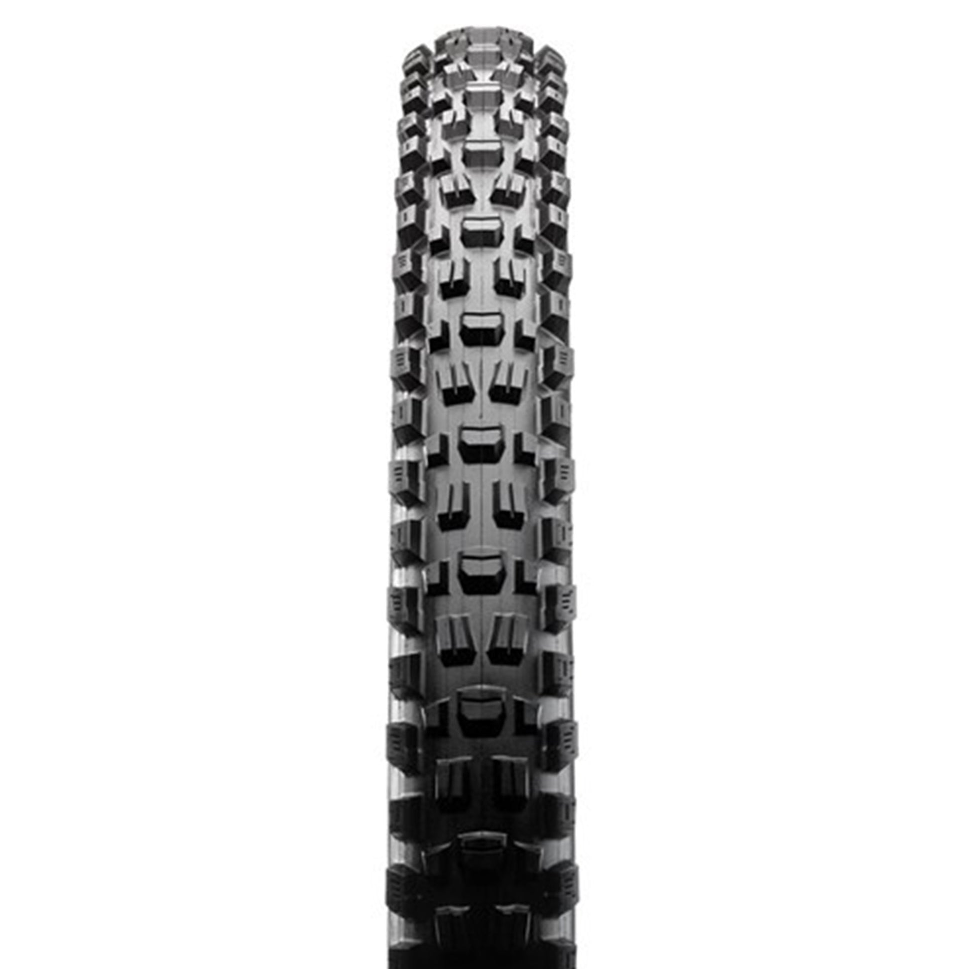 Maxxis Assegai Tyre - 29 Inch - 2.5 Inch - Yes - Dual Compound - WT Dual Ply 60x2TPI E-25 - Medium - Heavy Duty Protection - Wire - Black - Image 2