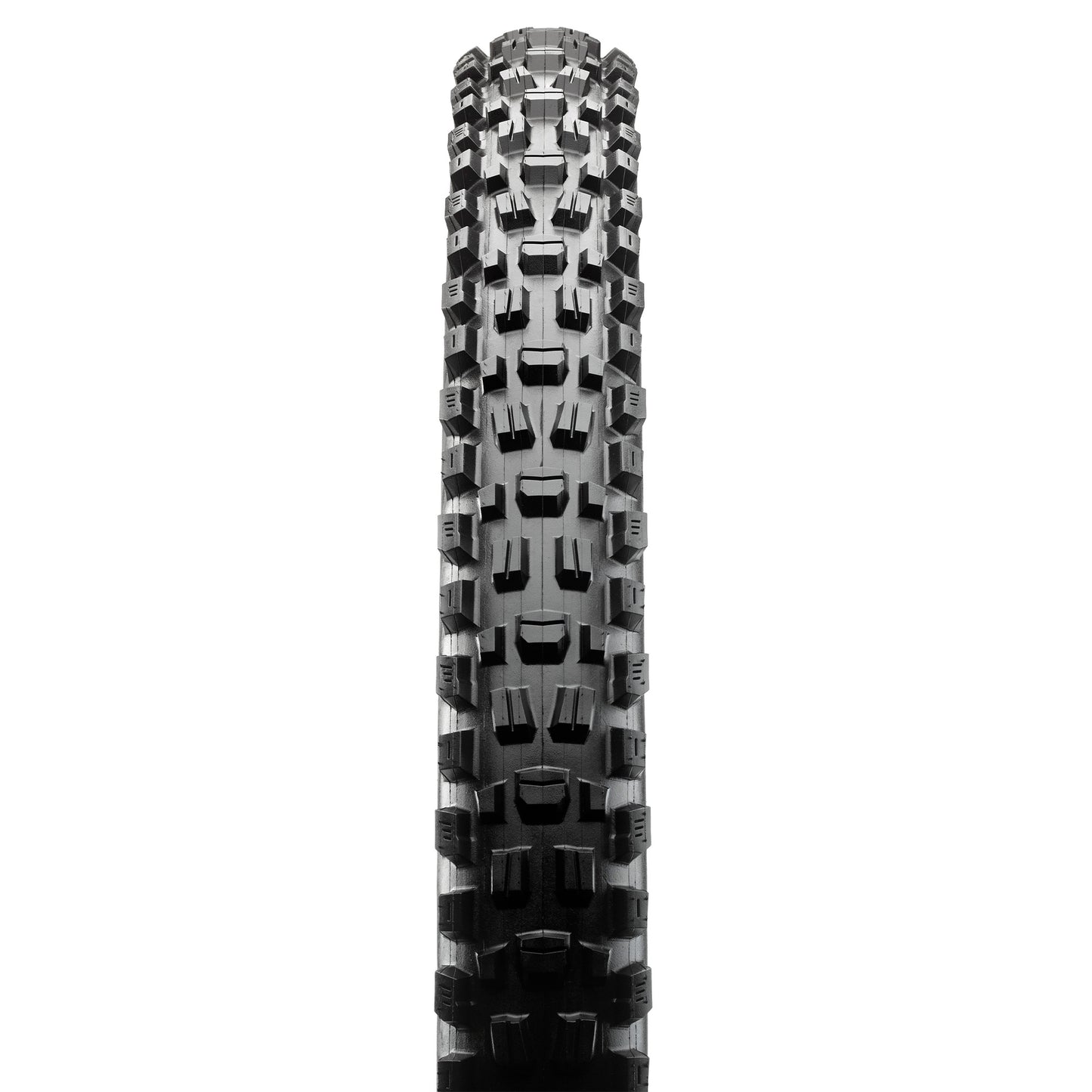 Maxxis Assegai Tyre - 29 Inch - 2.5 Inch - Yes - MaxxTerra - EXO+ TR - Soft - Heavy Duty Protection - Folding - Black - Image 2