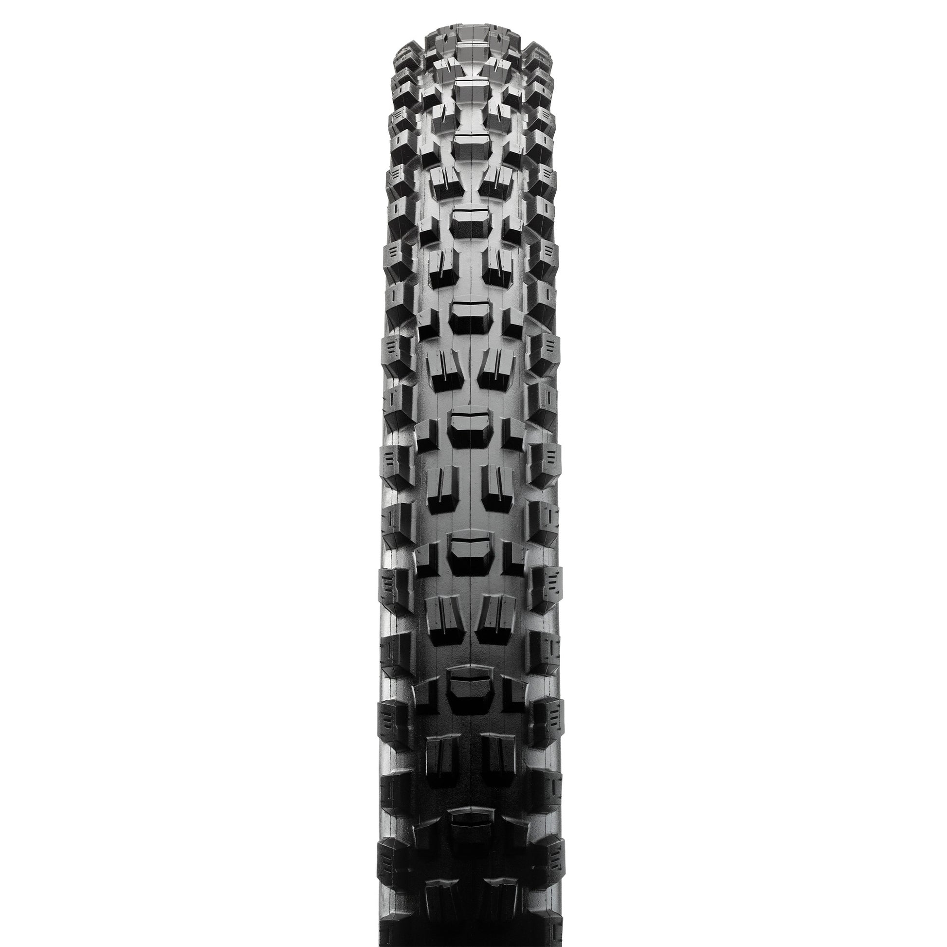 Maxxis Assegai Tyre - 29 Inch - 2.6 Inch - Yes - MaxxTerra - EXO TR - Soft - Medium Duty Protection - Folding - Black - Image 2