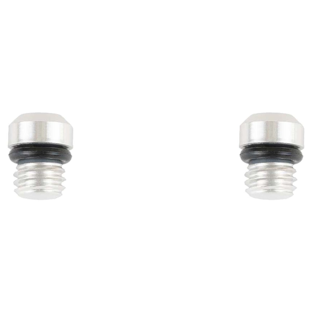 Trickstuff M5 Bleed Bolts - Bleed Bolts - Silver - T10 O-Rings (2 Pcs) - Image 1