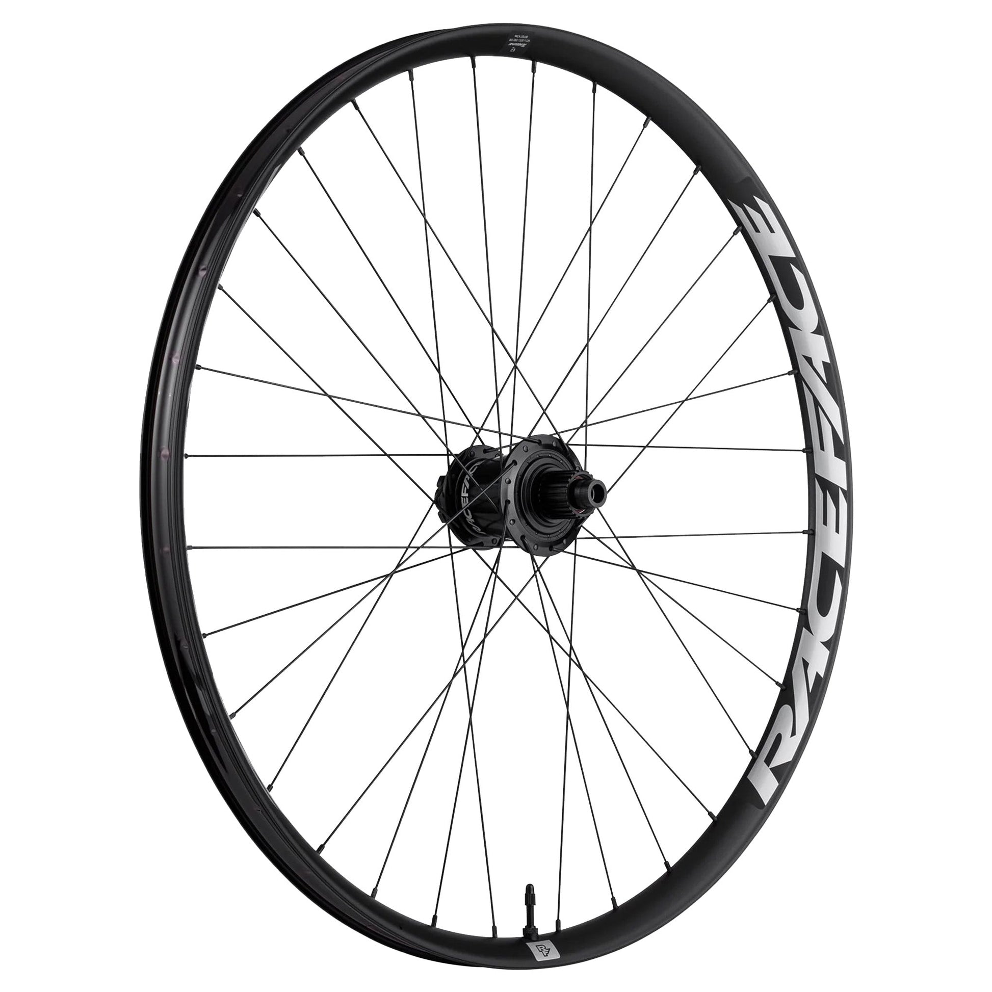 Race Face Turbine E-MTB Rear Wheel - Image 1