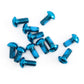 Cleanskin T25 Rotor Bolts - Pack Of 12 - Blue
