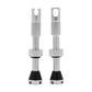 Peaty's x Chris King Mk2 Tubeless Valves - Silver - 42mm