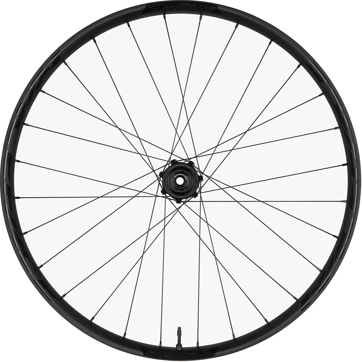 Race Face Turbine R 30mm Front Wheel - 15x110mm Boost - 6 Bolt - Front - 29 Inch