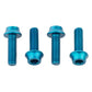 Wolf Tooth Water Bottle Cage Bolts - Teal